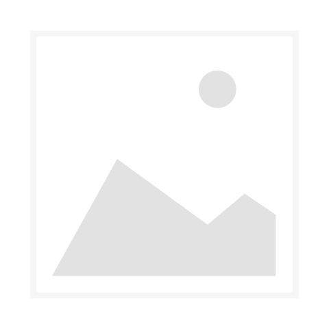 Gassensor GS 600 ST (EC) NH3 (0-100ppm)
