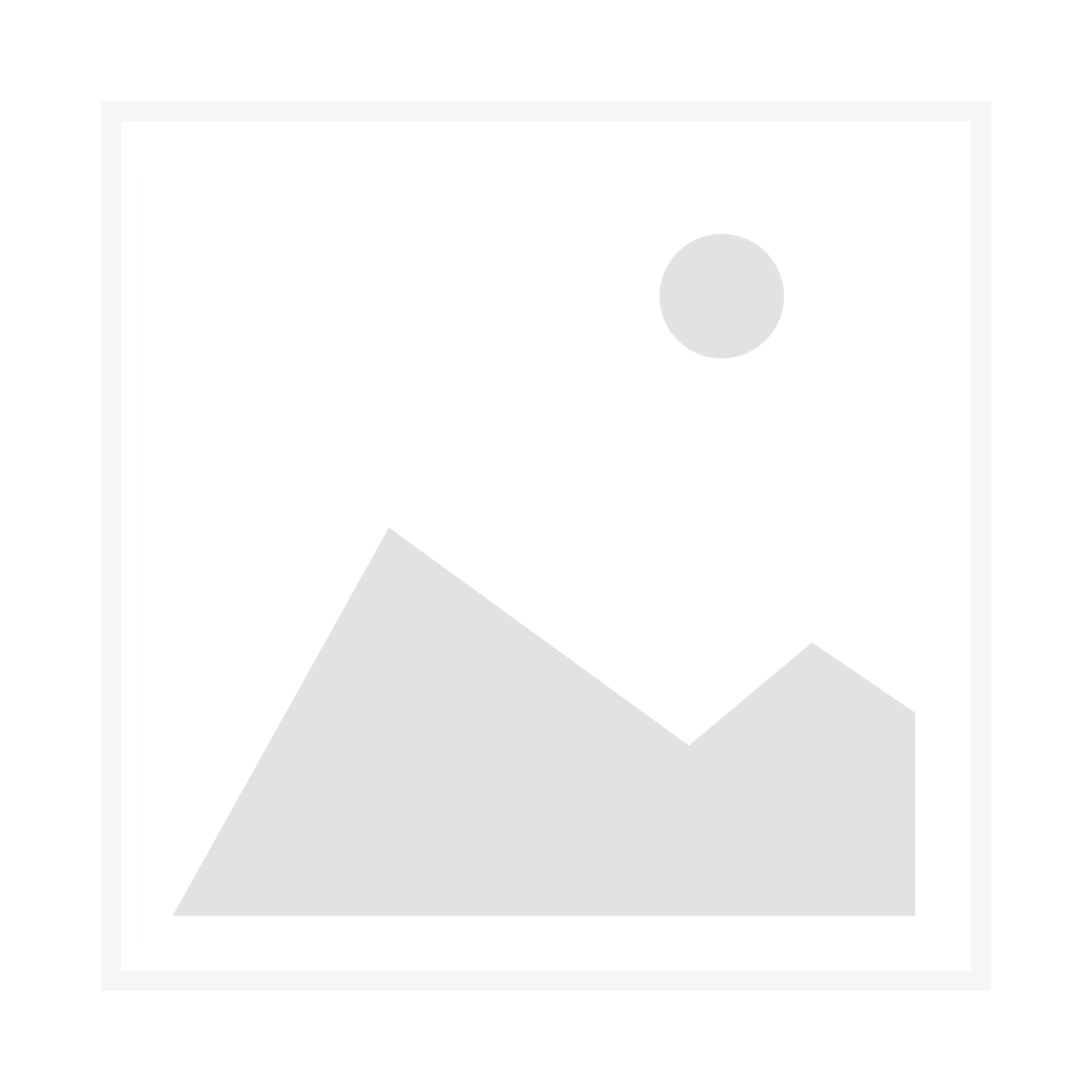 Gassensor GS 600 ST (EC) NH3 (0-100ppm)