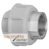 Aliaxis Uebergangsverschraubung PP a.Edelstahl m.zylindrischem Innengewinde d 20